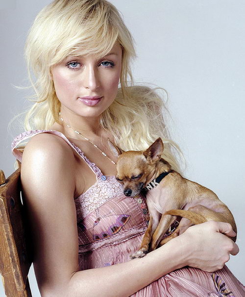 ���廤�� ��������