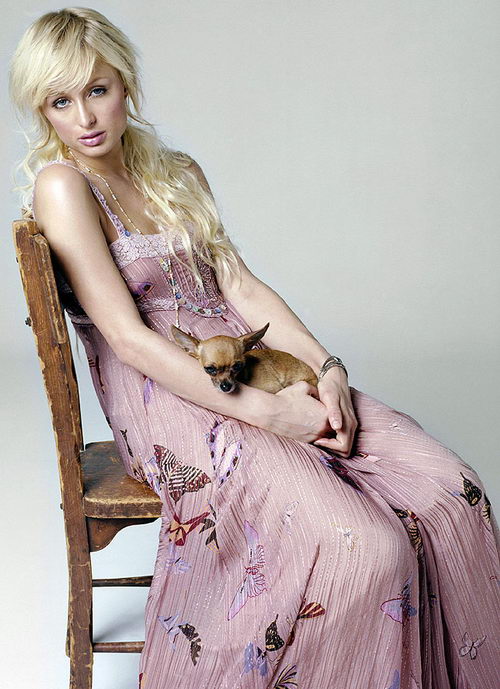 ���廤�� ��������