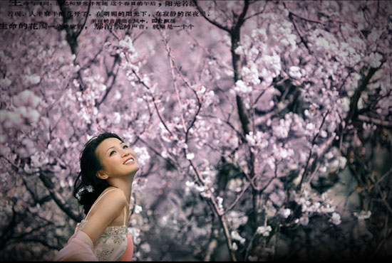 ��V2�Ӿ�����ɴ��Ӱ��Ʒ