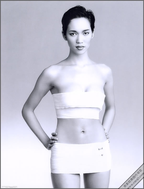 ̩����ģͼƬ