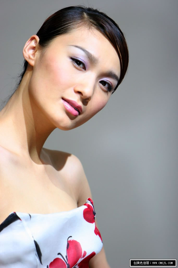 ������ģ