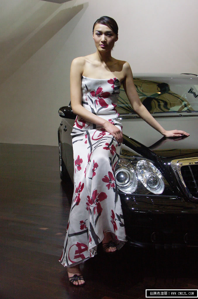 ������ģ