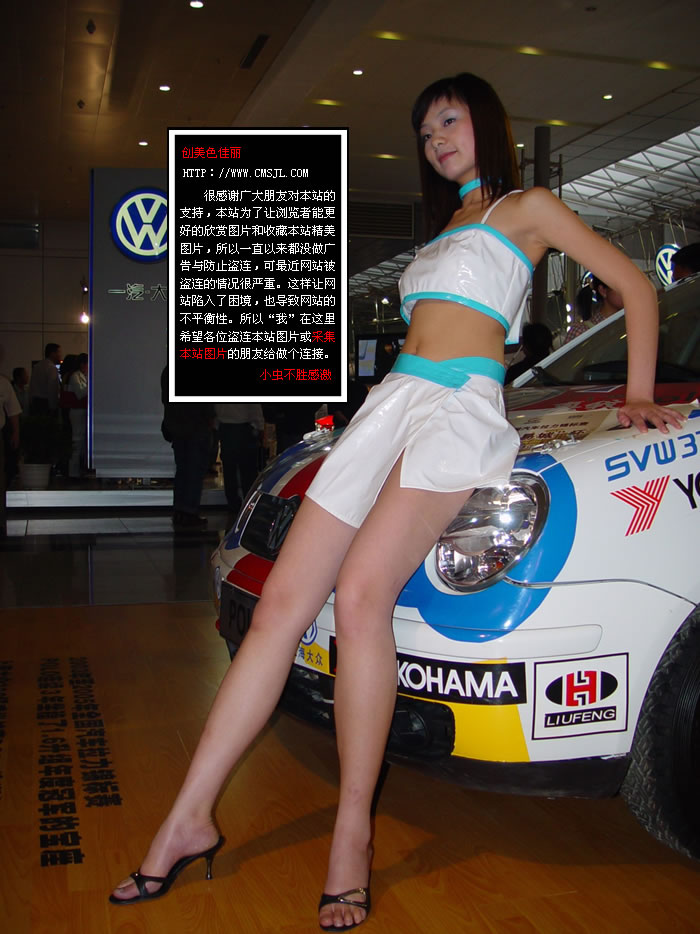 ������ģ