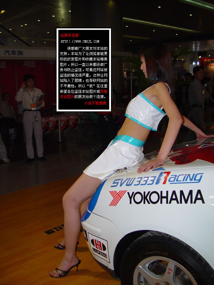 ������ģ