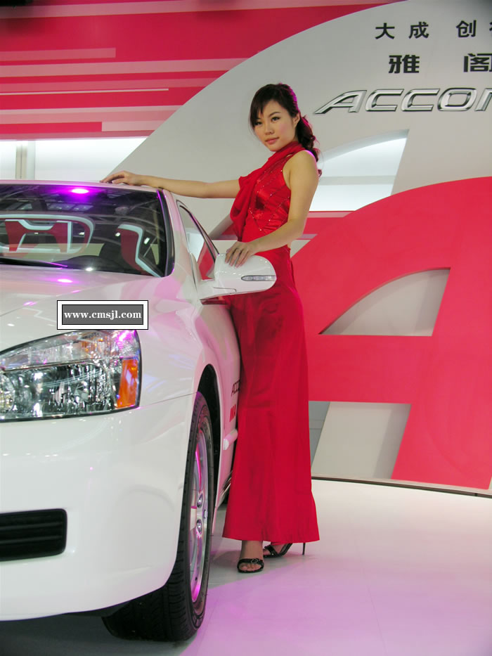 ������Ů��ģ