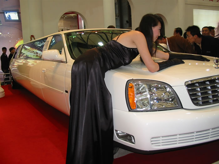 ��װ��Ů��ģ