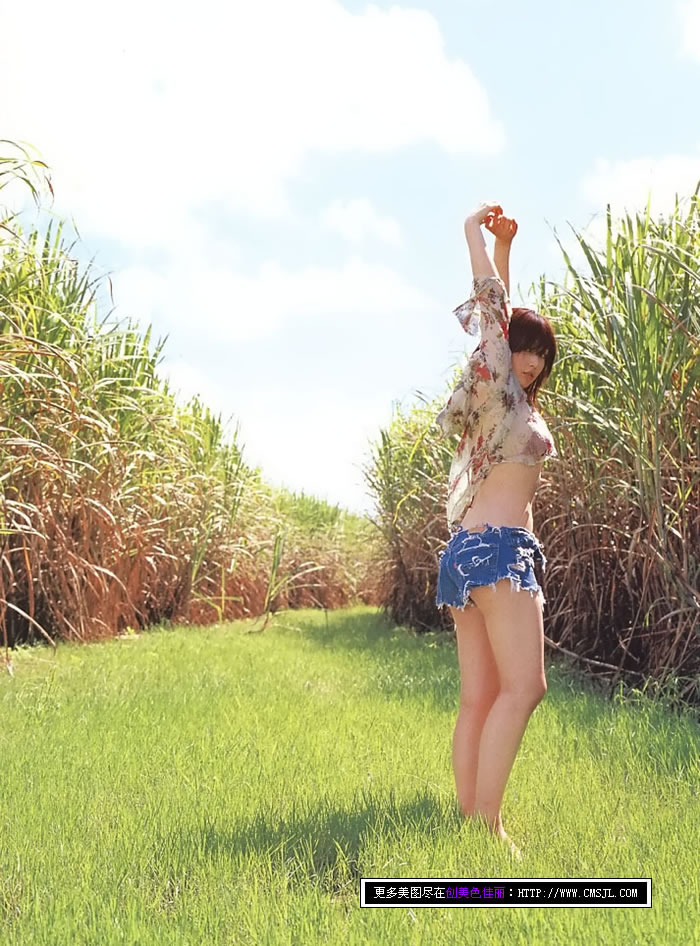 �����Ҷ��