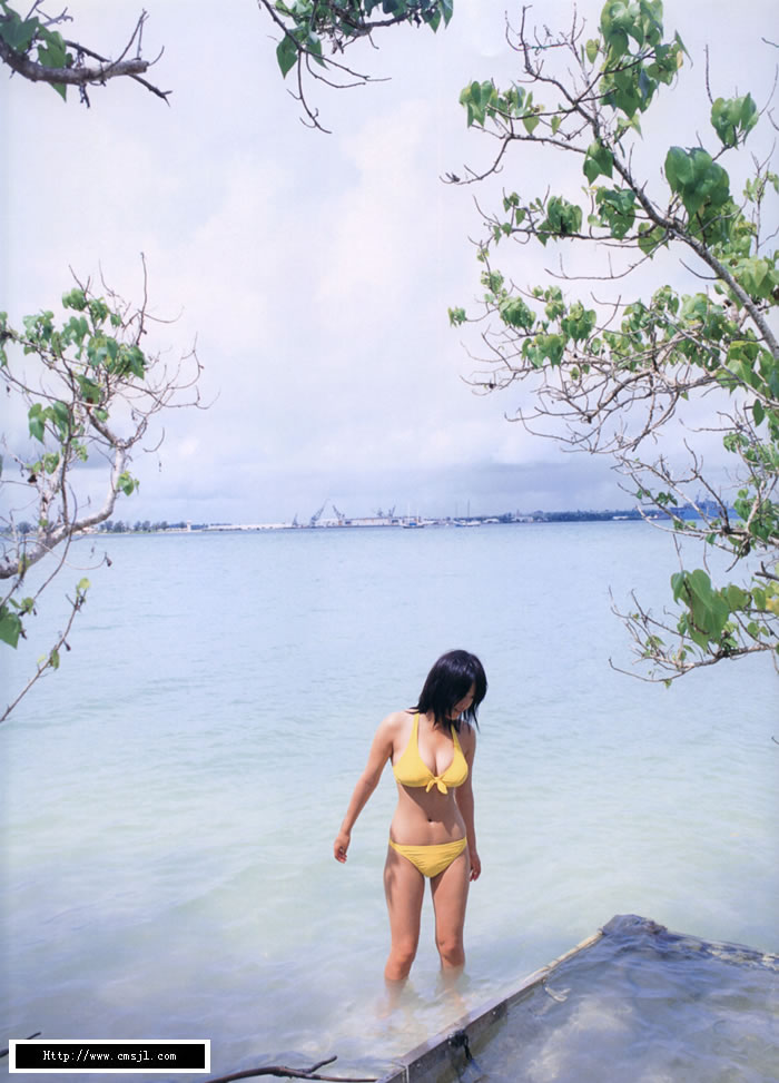 ������ɳ