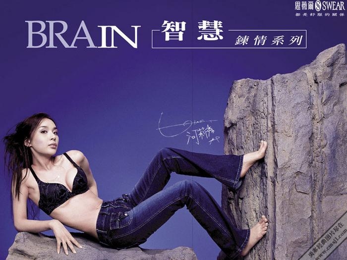 ���������¹���ֽ