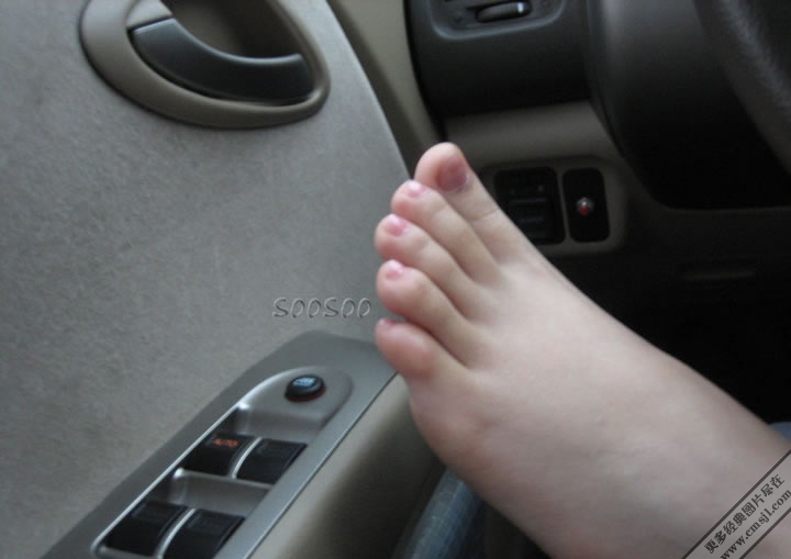 �����ڵ�����