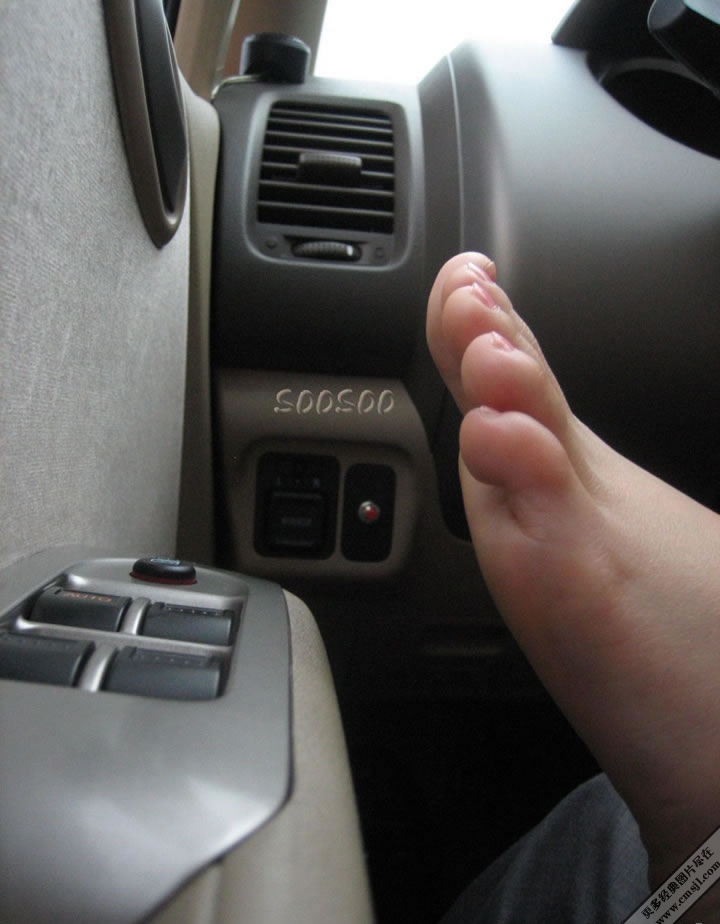 �����ڵ�����