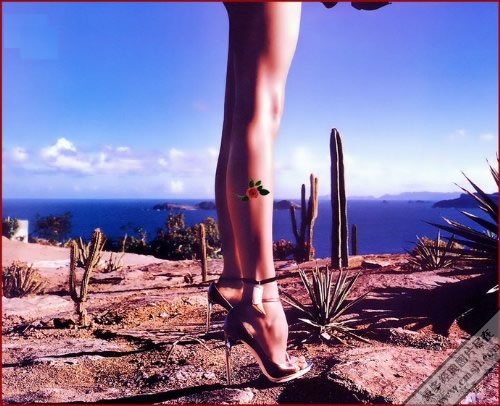 ˿������