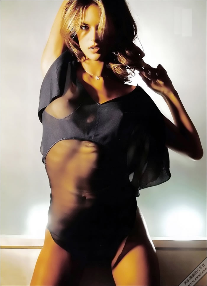 ������ģ