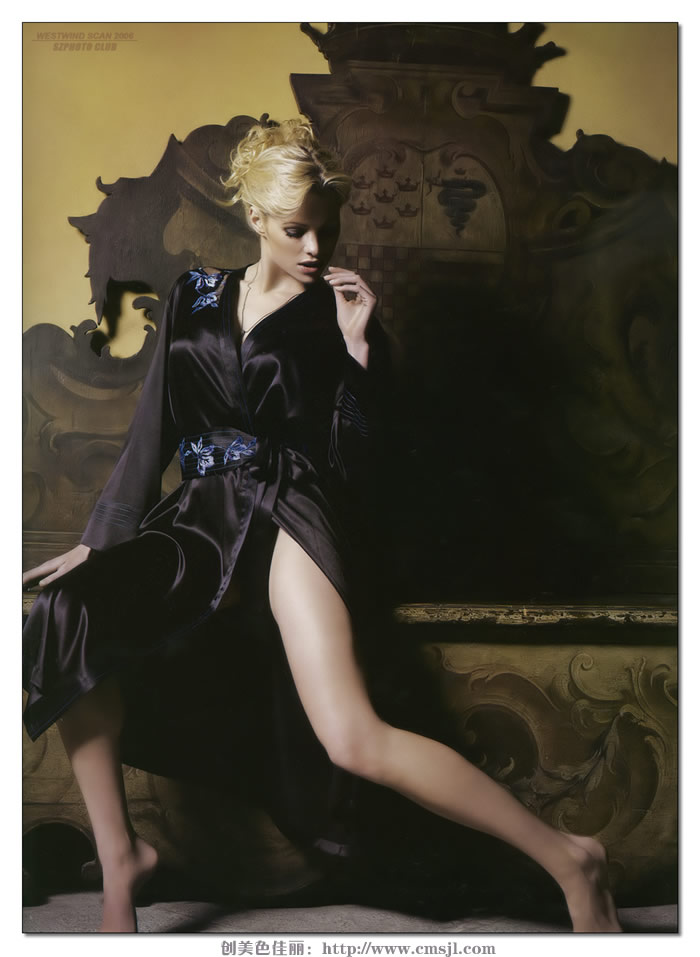 ����ģ��