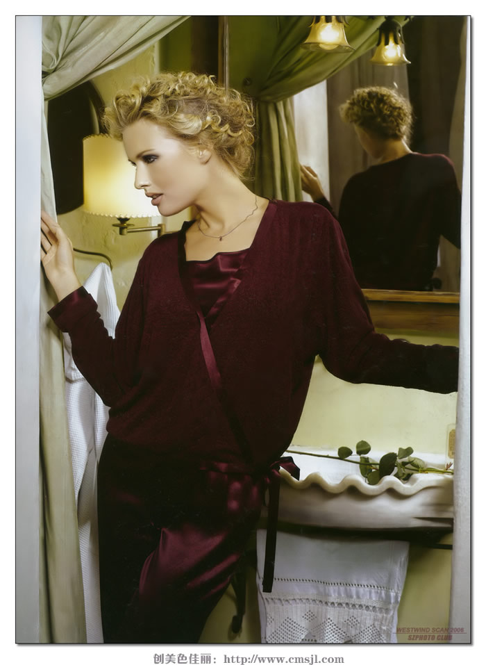 ����ģ��