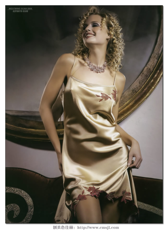 ����ģ��