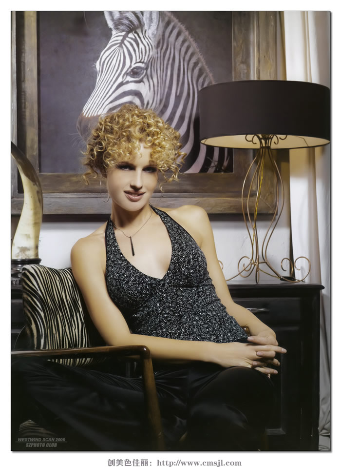 ����ģ��