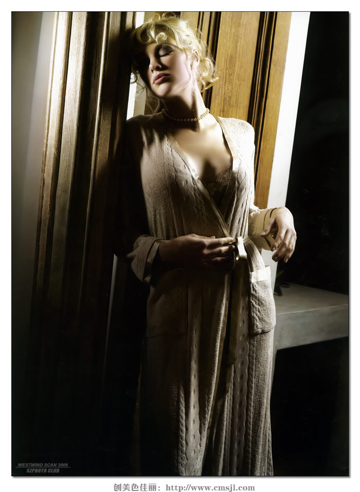 ����ģ��