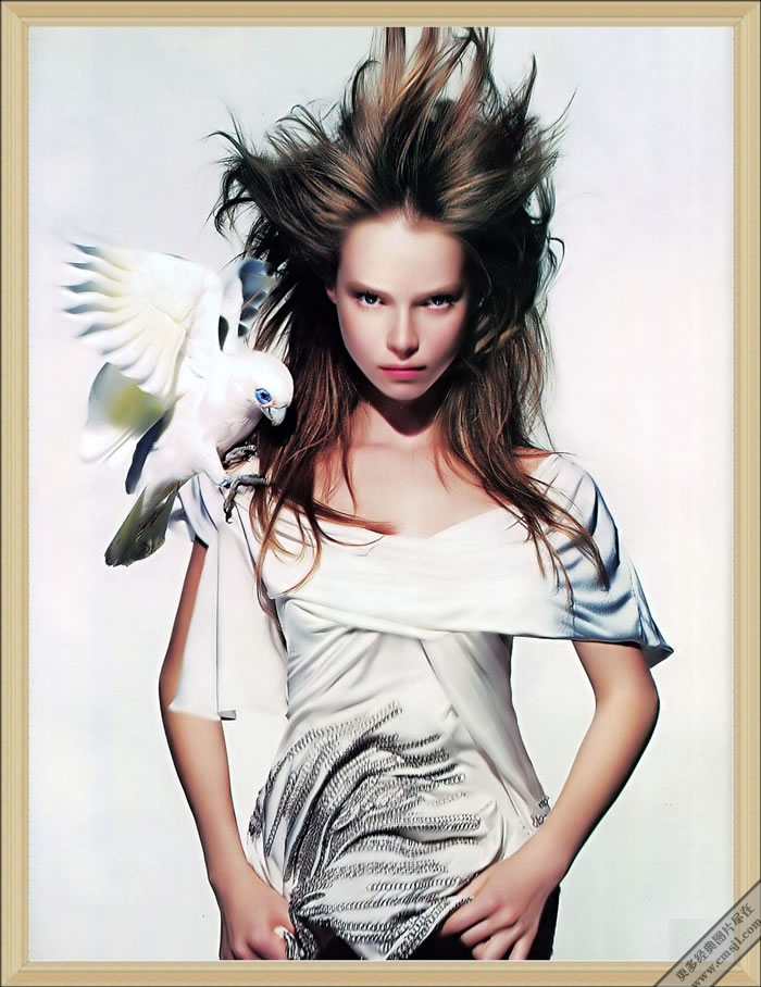 �λÿ������˳�