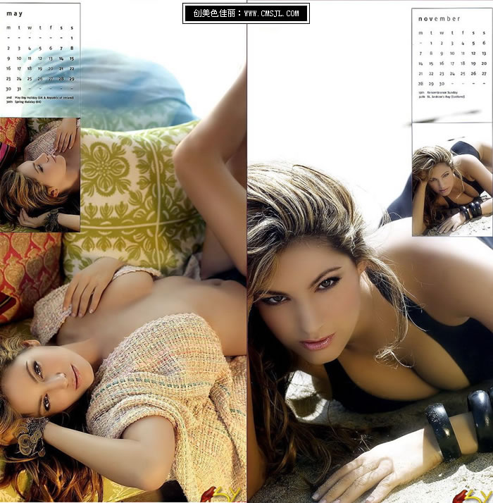 ��ɫ����