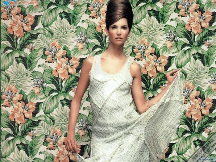 ��������ֽ