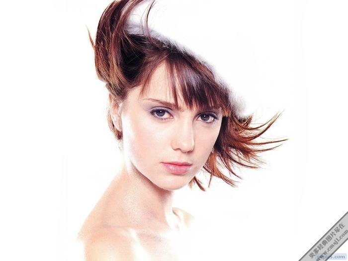 ��������ֽ