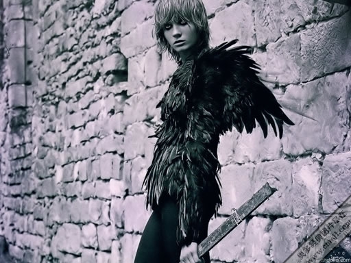 ��������д��