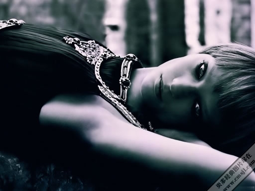 ��������д��