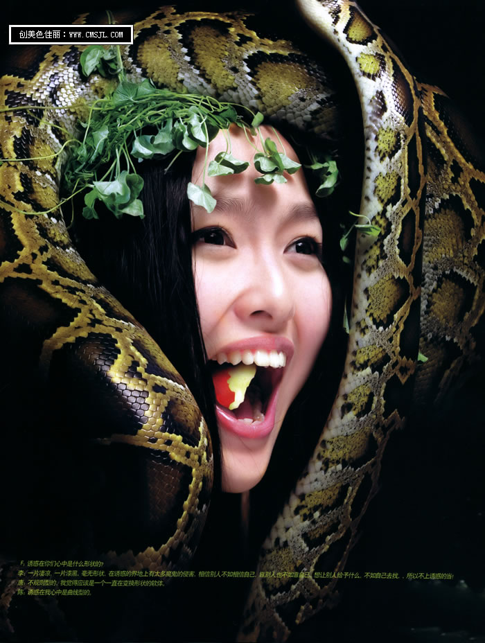 �ߵ�����