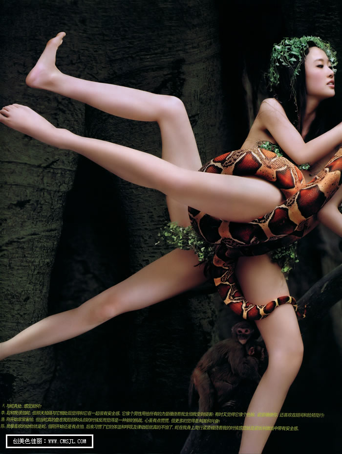 �ߵ�����