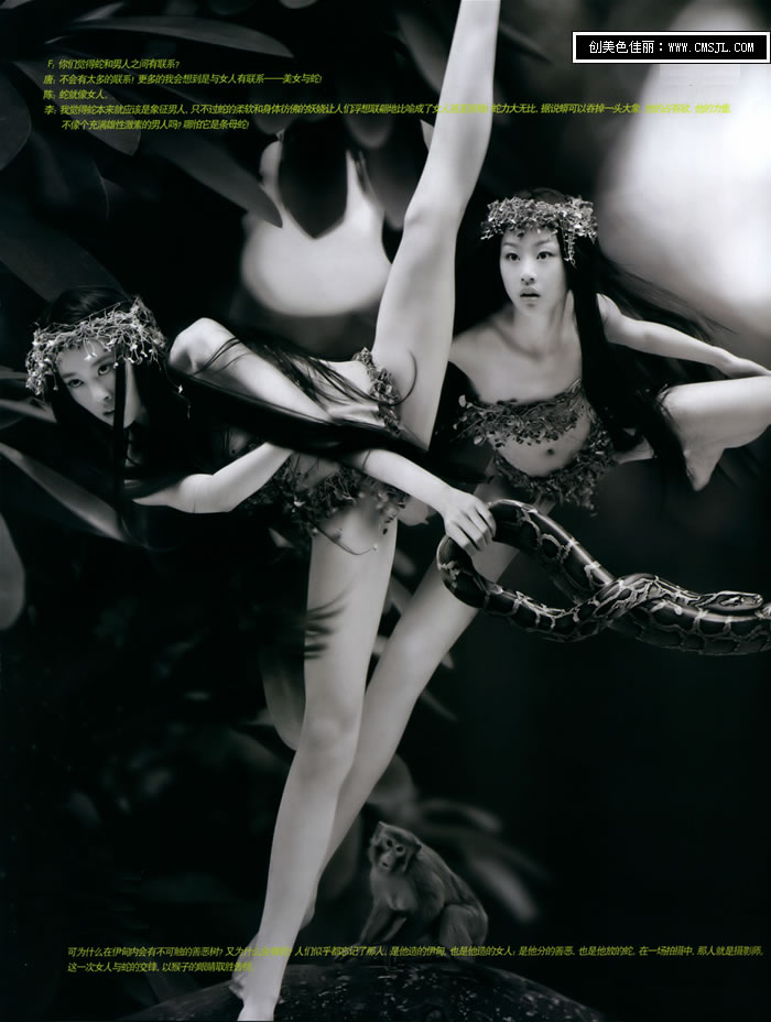 �ߵ�����