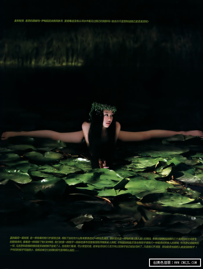 �ߵ�����