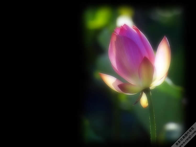 û����Ҷ����Ҳ�����Ļ�