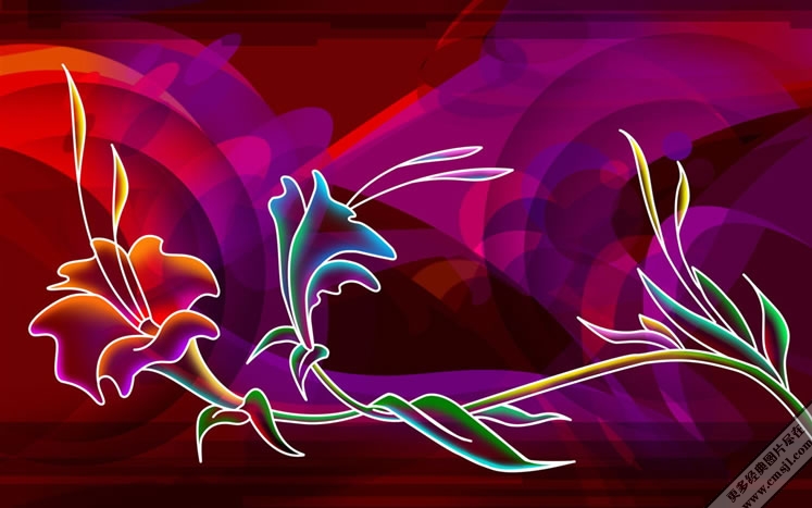 ������ֽ