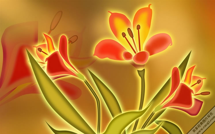 ������ֽ