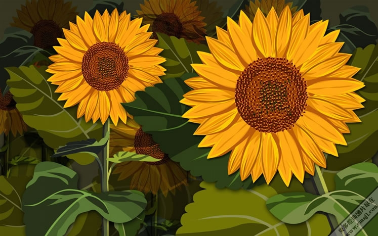 ������ֽ