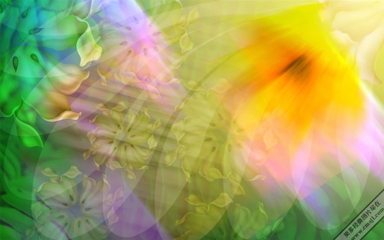 ������ֽ