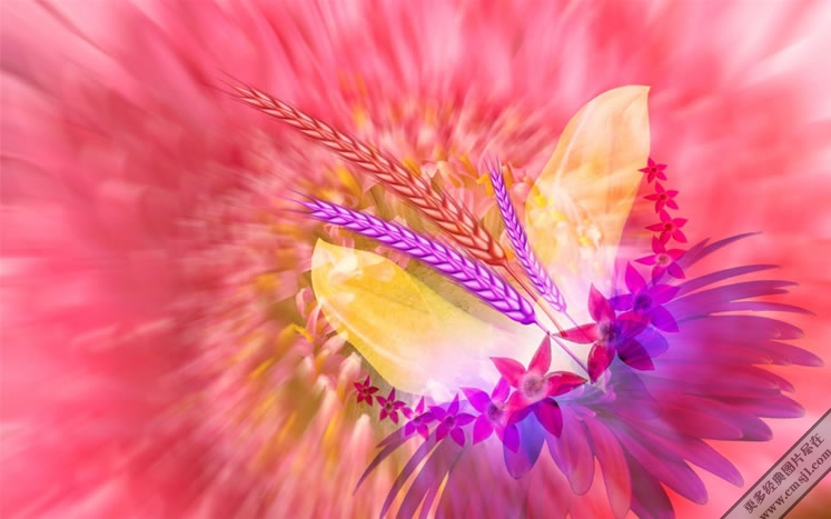 ������ֽ