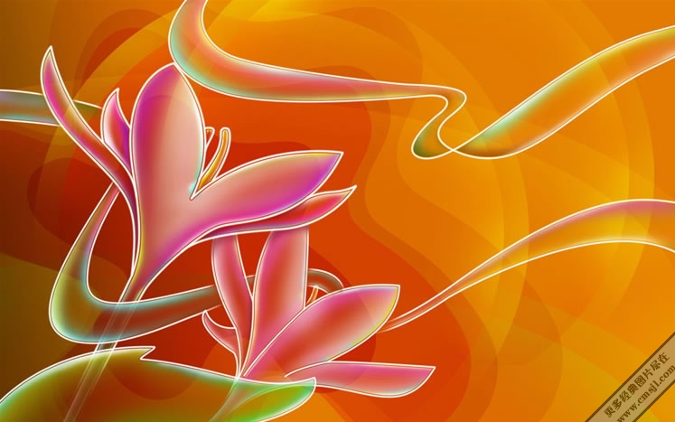 ������ֽ