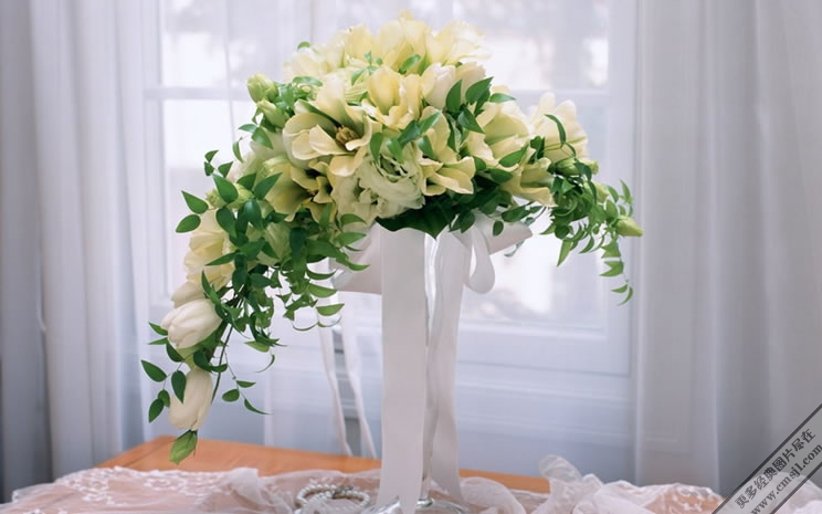 �廨������ֽ