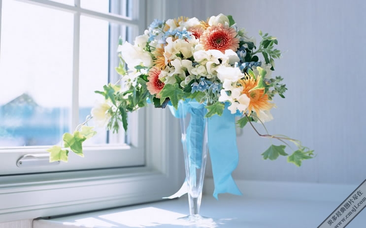 �廨������ֽ