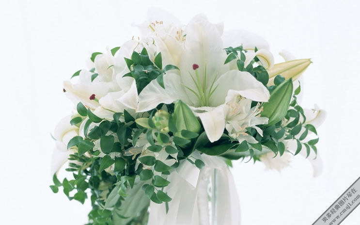 �廨������ֽ