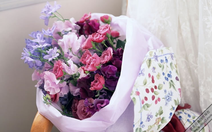 �廨������ֽ