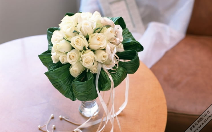 �廨������ֽ