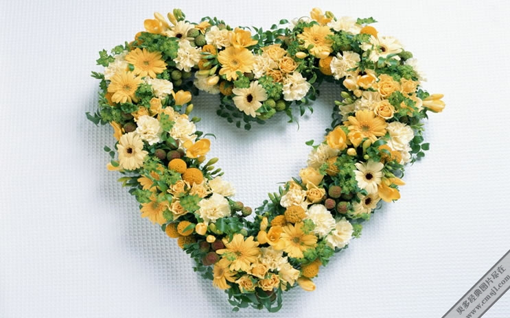 �廨������ֽ