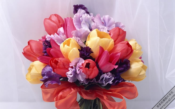 �廨������ֽ