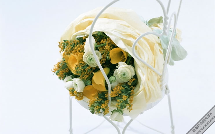 �廨������ֽ