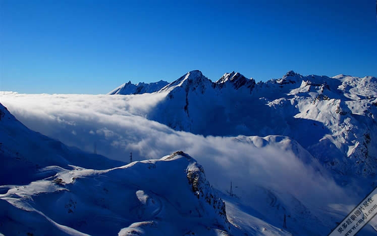 ������ֽ