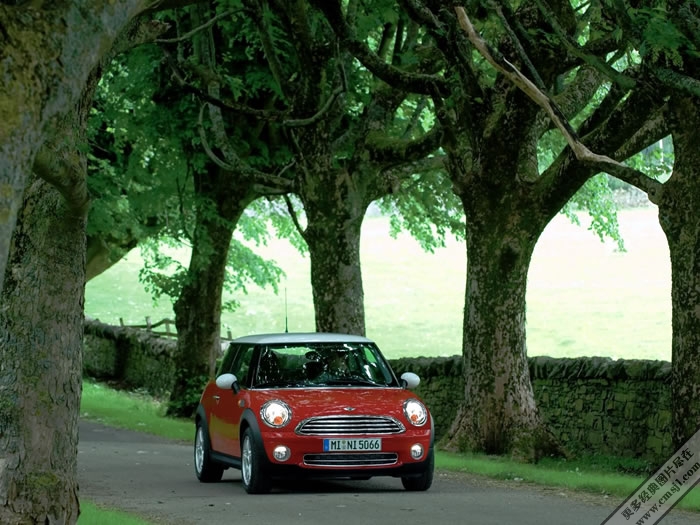 ������ֽ����