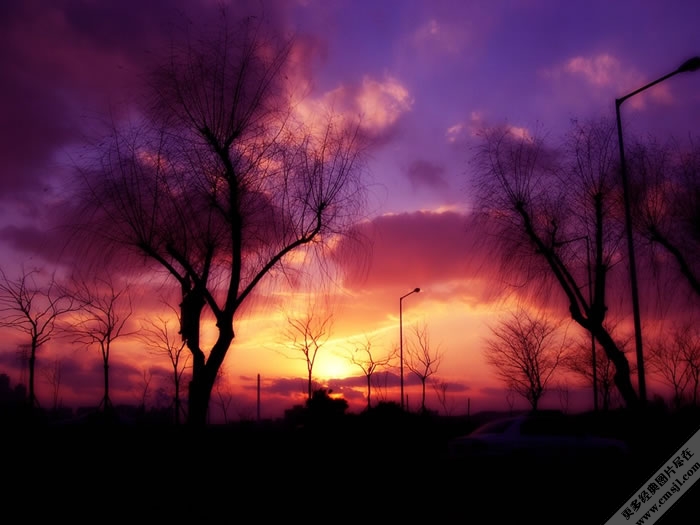 �羰��Ӱ��ֽ